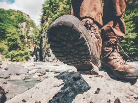 chaussures de survie