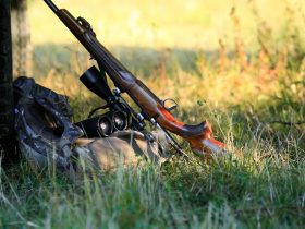 carabine à plomb survie