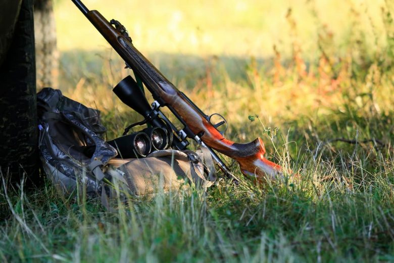carabine à plomb survie